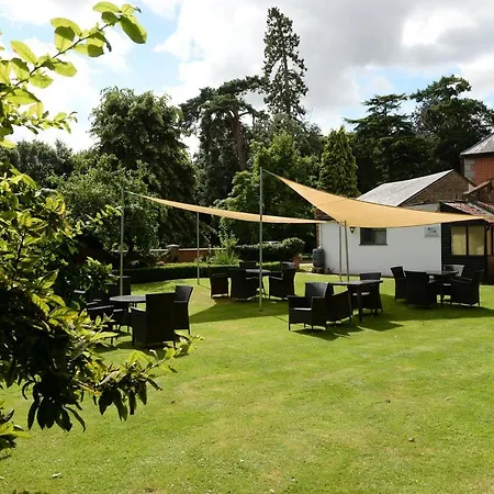 Satis House Hotel-2
